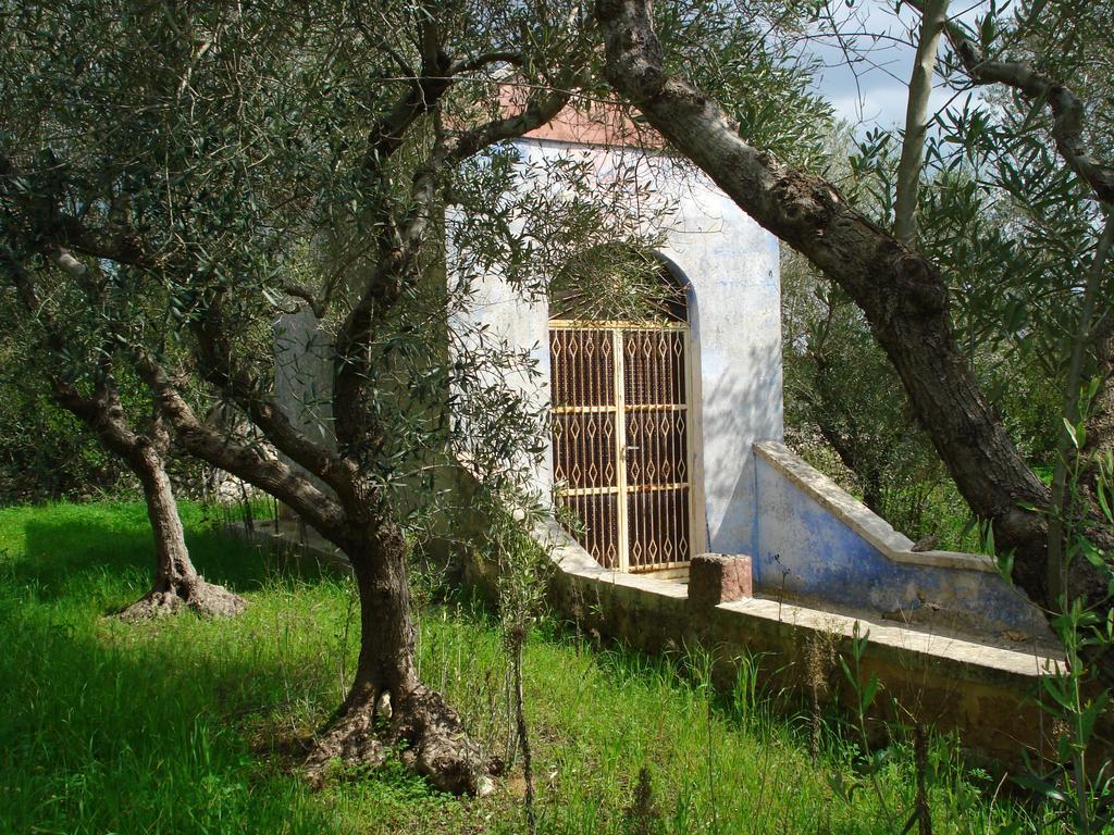 Villa Maggiulli Alfieri - Dimora Storica Lecce Esterno foto